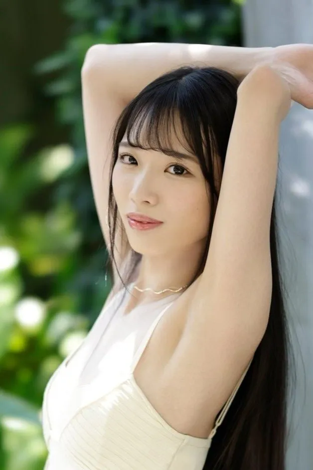 音乐综艺声生不息夜封面
